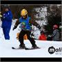 6. ZŠ Třinec a ZŠ Návsí 9.- 13. 1. 2012 odpoledne