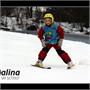 6. ZŠ Třinec a ZŠ Návsí 9.- 13. 1. 2012 odpoledne